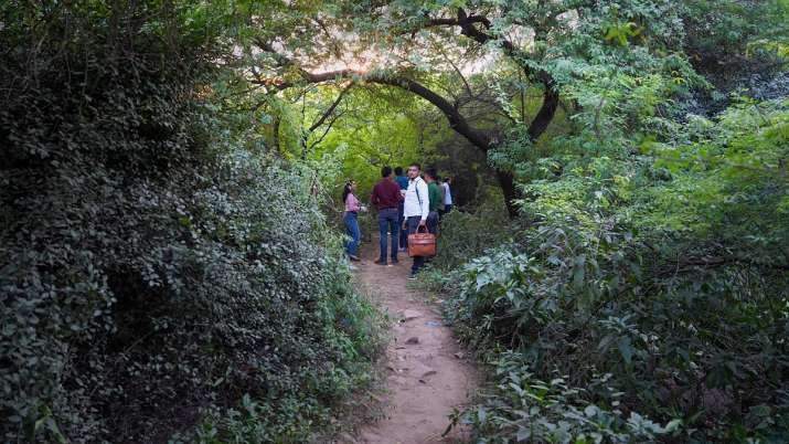 aftab jungle 1 श्रद्धा मर्डर केस का नया खुलासा, जंगलों से बरामद हुई इंसान की हड्डियां