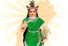 छत्तीसगढ़ महतारी