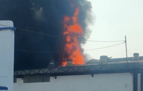 fire Bilaspur Breaking: शिवांगी ऑयल मिल में लगी भीषण आग, मौके पर पहुंची फायर ब्रिगेड टीम, देखें वीडियो