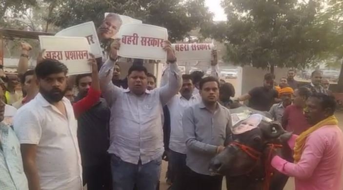 bhens शराब दुकान हटाने को लेकर भाजपा कार्यकर्ताओं ने भैंस के आगे बीन बजाकर किया अनोखा विरोध प्रदर्शन, देखें Video