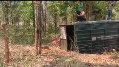 IMG 20230518 194044 तमोर पिंगला में छोड़े गए 40 शाकाहारी वन्य प्राणी