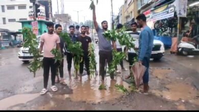 IMG 20230627 232748 जागरूक युवा मंच ने गड्ढों की मरम्मत के लिए किया प्रदर्शन, बेशर्म के पौधे लगाकर दी चेतावनी