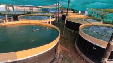 IMG 20230810 WA0020 मत्स्य बीज उत्पादन के क्षेत्र में छत्तीसगढ़ बना पांचवा बड़ा राज्य