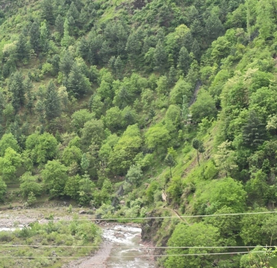 केंद्रीय सूचना एवं प्रसारण मंत्रालय ने जारी की एडवाइजरी,मीडिया को 8 बिंदु में सावधानी बरतने का आदेश 1 IMG 20250426 175034 केंद्रीय सूचना एवं प्रसारण मंत्रालय ने जारी की एडवाइजरी,मीडिया को 8 बिंदु में सावधानी बरतने का आदेश