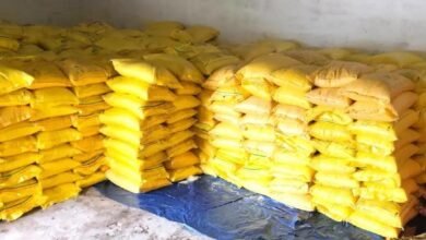 128c0543 6e18 48db ba9b 2de5a0c7cce0 सहकारी समितियों में एक लाख बॉटल नैनो डीएपी का किया जा रहा भंडारण