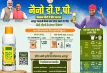 ff57d7eb cbe1 4c12 a5fd 7e64aa2ae0ce नैनो डीएपी किसानों के लिए ठोस डीएपी उर्वरक का स्मार्ट विकल्प