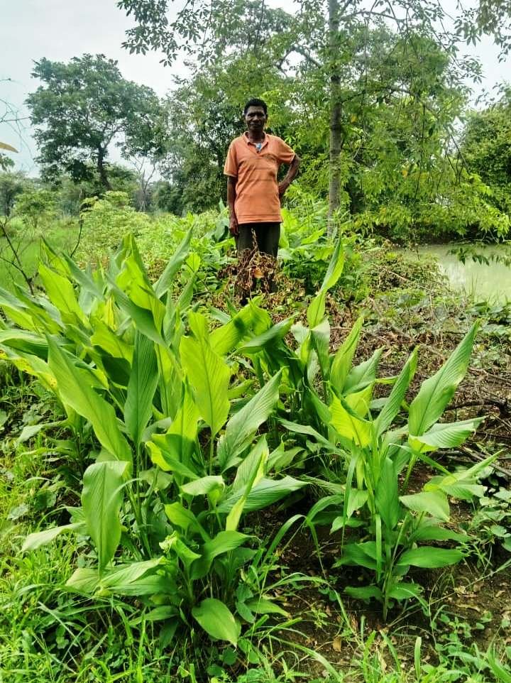 1005563653 डबरी ने खोले समृद्धि के द्वार, दुलार सिंह का सपना हुआ साकार