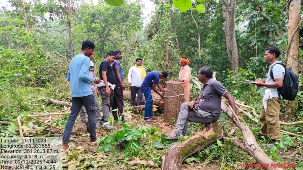 फिल्मी तर्ज पर लकड़ी की तस्करी 3 8b291c35 4791 4b64 8d55 c9ae960f5d1f फिल्मी तर्ज पर लकड़ी की तस्करी