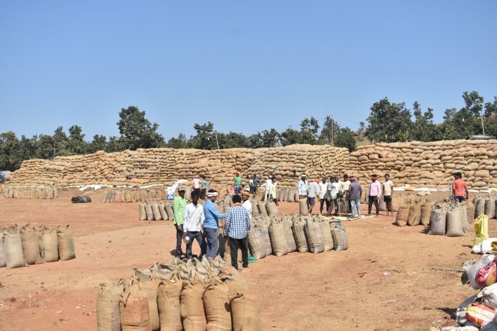 1006284524 धान खरीदी केंद्रों का कलेक्टर ने किया आकस्मिक निरीक्षण,निर्धारित मात्रा से अधिक धान तौलने पर चिखलाकसा केंद्र प्रबंधक को नोटिस