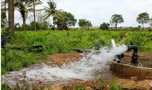 1006347812 निःशुल्क बिजली से बदली खेती की तस्वीर,कृषक जीवन ज्योति योजना बनी किसानों की सबसे बड़ी ताकत