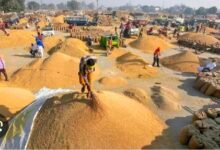 IMG 20251213 112316 धान खरीदी को आसान बनाने की दिशा में राज्य सरकार का निर्णायक कदम: धान विक्रय प्रक्रिया हुई सरल, अब दिन-रात कभी भी मिलेगा तूहर टोकन