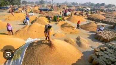 धान खरीदी को आसान बनाने की दिशा में राज्य सरकार का निर्णायक कदम: धान विक्रय प्रक्रिया हुई सरल, अब दिन-रात कभी भी मिलेगा तूहर टोकन 5 IMG 20251213 112316 धान खरीदी को आसान बनाने की दिशा में राज्य सरकार का निर्णायक कदम: धान विक्रय प्रक्रिया हुई सरल, अब दिन-रात कभी भी मिलेगा तूहर टोकन