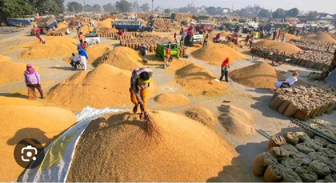 धान खरीदी को आसान बनाने की दिशा में राज्य सरकार का निर्णायक कदम: धान विक्रय प्रक्रिया हुई सरल, अब दिन-रात कभी भी मिलेगा तूहर टोकन 1 IMG 20251213 112316 धान खरीदी को आसान बनाने की दिशा में राज्य सरकार का निर्णायक कदम: धान विक्रय प्रक्रिया हुई सरल, अब दिन-रात कभी भी मिलेगा तूहर टोकन