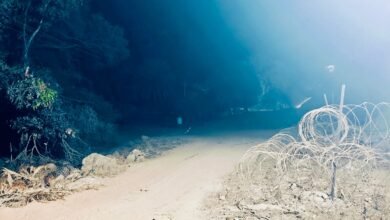 IMG 20260223 WA0651 78 साल बाद पहाड़ियों पर पहुंची बिजली;लाल आतंक का अंत, गोगुंडा में पहली बार जला बल्ब