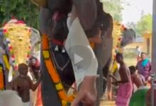 मंदिर उत्सव के दौरान हाथी हुआ बेकाबू,सहायक महावत को उठाकर फेंका 67 IMG 20260226 214010 मंदिर उत्सव के दौरान हाथी हुआ बेकाबू,सहायक महावत को उठाकर फेंका