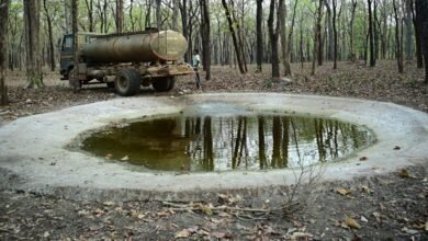 IMG 20260430 WA0480 ​भीषण गर्मी में वन्यजीवों के लिए 'संजीवनी' बना बारनवापारा