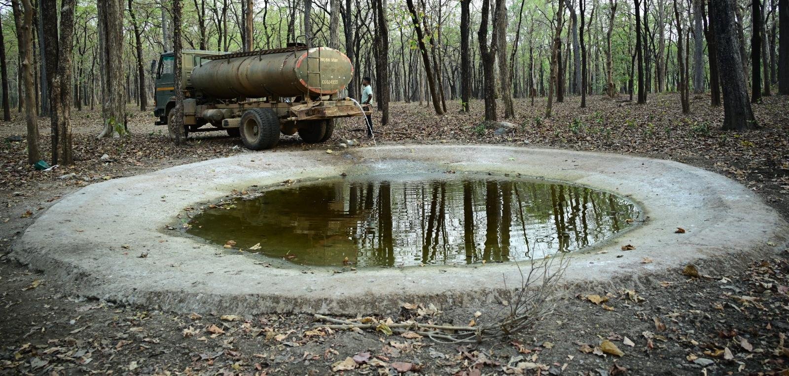 IMG 20260430 WA0480 ​भीषण गर्मी में वन्यजीवों के लिए 'संजीवनी' बना बारनवापारा