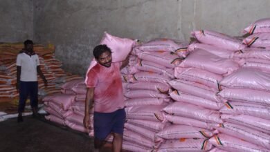 f305552b bb8b 470a b1bc 62a34b6ec784 खरीफ में धान सहित दलहन-तिलहन फसलों में परम्परागत खाद के साथ वैकल्पिक खाद एवं नैनो यूरिया व डीएपी के उपयोग को दिया जा रहा बढ़ावा