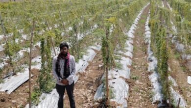 IMG 20260608 WA0804 सफलता की कहानी: पारंपरिक फसल छोड़ अपनाई करेले की आधुनिक खेती, किसान को हुआ 2.95 लाख का शुद्ध लाभ