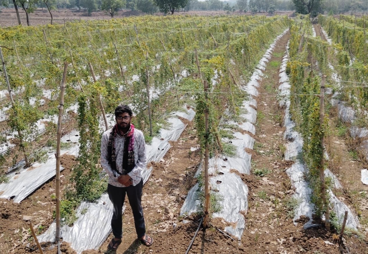 IMG 20260608 WA0804 सफलता की कहानी: पारंपरिक फसल छोड़ अपनाई करेले की आधुनिक खेती, किसान को हुआ 2.95 लाख का शुद्ध लाभ