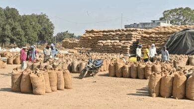 IMG 0793 ​धान का कटोरा अब बनेगा 'वेयरहाउसिंग हब': धमतरी की नई आर्थिक उड़ान
