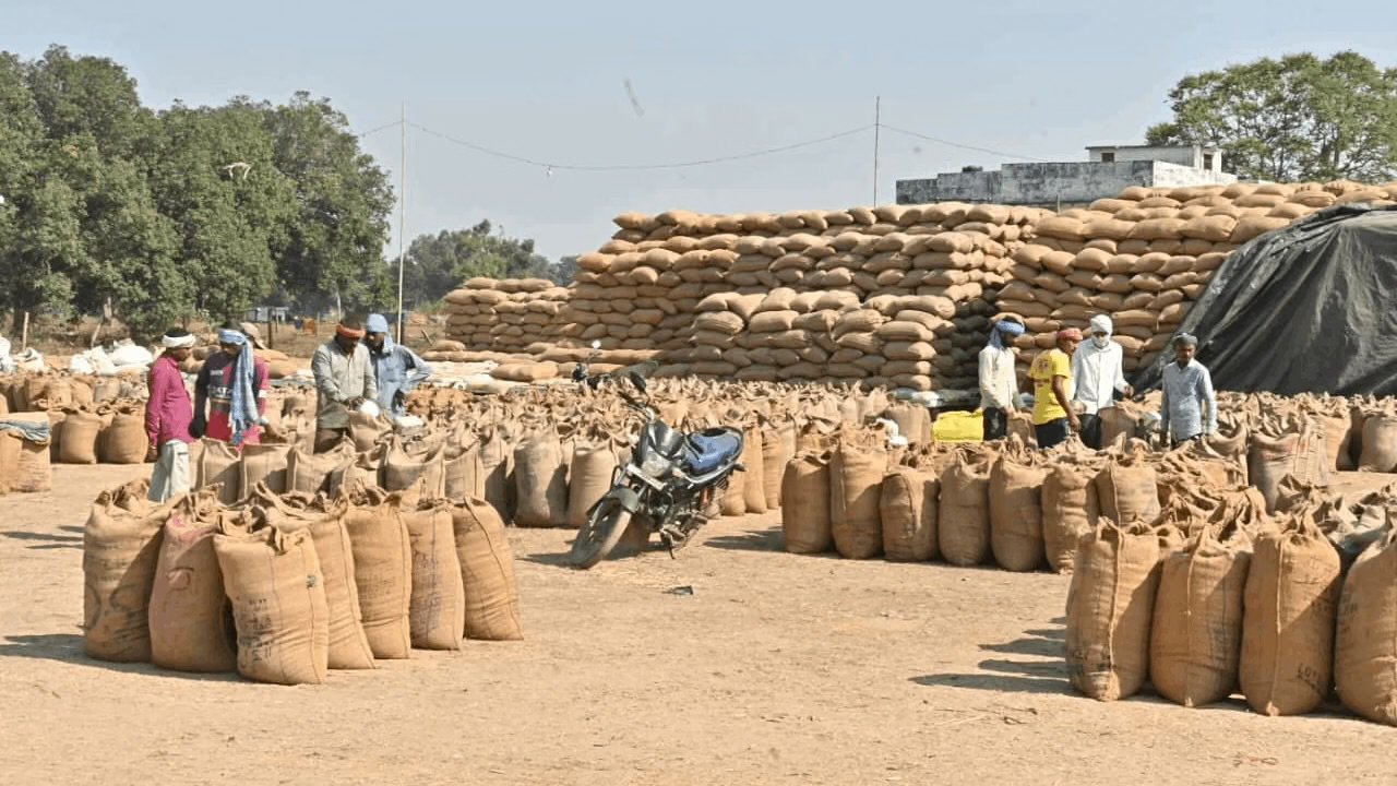 IMG 0793 ​धान का कटोरा अब बनेगा 'वेयरहाउसिंग हब': धमतरी की नई आर्थिक उड़ान