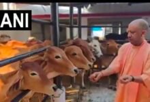 मुख्यमंत्री योगी आदित्यनाथ जनता दर्शन से पहले पहुंचे गौशाला ,गुड रोटी खिलाकर की गौ माता की सेवा 68 IMG 20260615 122151 मुख्यमंत्री योगी आदित्यनाथ जनता दर्शन से पहले पहुंचे गौशाला ,गुड रोटी खिलाकर की गौ माता की सेवा