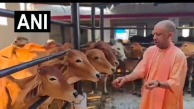 मुख्यमंत्री योगी आदित्यनाथ जनता दर्शन से पहले पहुंचे गौशाला ,गुड रोटी खिलाकर की गौ माता की सेवा 4 IMG 20260615 122151 मुख्यमंत्री योगी आदित्यनाथ जनता दर्शन से पहले पहुंचे गौशाला ,गुड रोटी खिलाकर की गौ माता की सेवा
