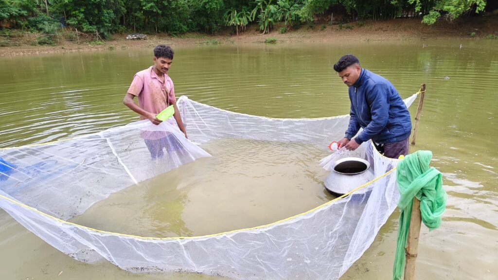 1008681006 बस्तर की मनकी बघेल ने स्पान संवर्धन योजना से 2 माह में कमाए 15 हजार रुपये ,अब अंगुलिका उत्पादन से बढ़ाएंगी आमदनी