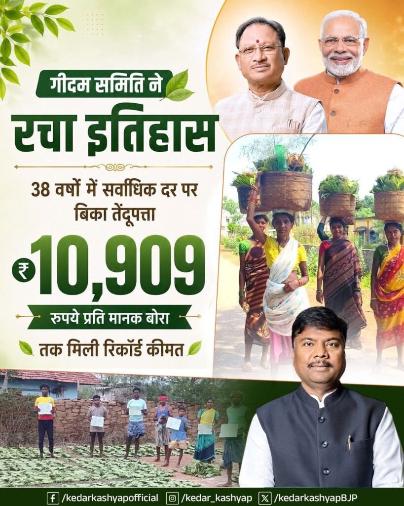गीदम समिति ने रचा इतिहास, 38 वर्षों में सबसे अधिक कीमत पर बिका तेंदूपत्ता 2 8567056b ef38 467c af78 9ab4eb77a89d गीदम समिति ने रचा इतिहास, 38 वर्षों में सबसे अधिक कीमत पर बिका तेंदूपत्ता