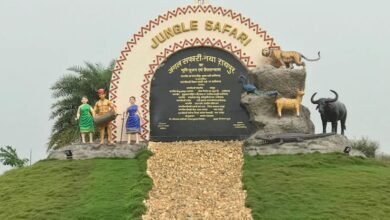 IMG 20260724 WA0497 प्रकृति और वन्यजीव संरक्षण का अनूठा संगम है नंदनवन जंगल सफारी