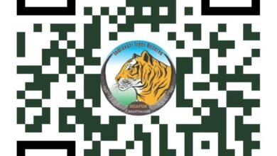 अंतरराष्ट्रीय बाघ दिवस पर होगा 'रन फॉर इंद्रावती' मैराथन का आयोजन, बाघ एवं वन्यजीव संरक्षण के समर्थन में दौड़ेंगे युवा और नागरिक 23 IMG 20260725 WA0966 अंतरराष्ट्रीय बाघ दिवस पर होगा 'रन फॉर इंद्रावती' मैराथन का आयोजन, बाघ एवं वन्यजीव संरक्षण के समर्थन में दौड़ेंगे युवा और नागरिक