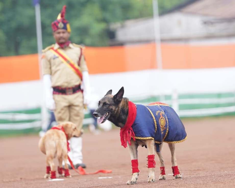 1008925386 घुड़सवारों के साहस, महिला बैग पाईपर बैंड की लय और श्वान दल के रोमांचक प्रदर्शन से सजा स्वतंत्रता दिवस समारोह