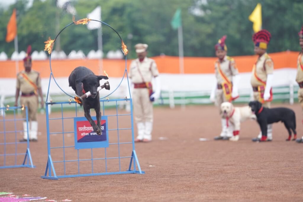 1008925394 घुड़सवारों के साहस, महिला बैग पाईपर बैंड की लय और श्वान दल के रोमांचक प्रदर्शन से सजा स्वतंत्रता दिवस समारोह