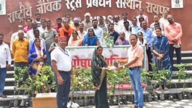 आईसीएआर- एनआईबीएसएम द्वारा 'पोषण वाटिका' पर प्रशिक्षण कार्यक्रम आयोजित, 62 किसान हुए लाभान्वित, जिनमें 10 महिला किसान भी शामिल 2 64a173f0 2f96 4d4a b31d 2f7813fd03e6 आईसीएआर- एनआईबीएसएम द्वारा 'पोषण वाटिका' पर प्रशिक्षण कार्यक्रम आयोजित, 62 किसान हुए लाभान्वित, जिनमें 10 महिला किसान भी शामिल