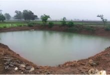 IMG 20260805 WA1036 मोर गांव-मोर पानी अभियान से ग्रामीण आजीविका को मिली नई उड़ान, 47 आजीविका डबरियां किसानों के लिए बनेंगी संबल