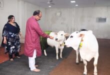 उप मुख्यमंत्री अरुण साव ने प्रदेशवासियों को दी हरेली की बधाई, गौमाता और कृषि औजारों की पूजा-अर्चना कर अच्छी फसल व खुशहाली का कामना की 129 IMG 20260812 WA0644 उप मुख्यमंत्री अरुण साव ने प्रदेशवासियों को दी हरेली की बधाई, गौमाता और कृषि औजारों की पूजा-अर्चना कर अच्छी फसल व खुशहाली का कामना की