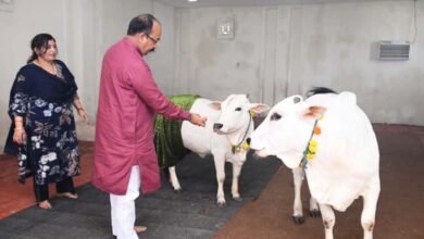उप मुख्यमंत्री अरुण साव ने प्रदेशवासियों को दी हरेली की बधाई, गौमाता और कृषि औजारों की पूजा-अर्चना कर अच्छी फसल व खुशहाली का कामना की 4 IMG 20260812 WA0644 उप मुख्यमंत्री अरुण साव ने प्रदेशवासियों को दी हरेली की बधाई, गौमाता और कृषि औजारों की पूजा-अर्चना कर अच्छी फसल व खुशहाली का कामना की