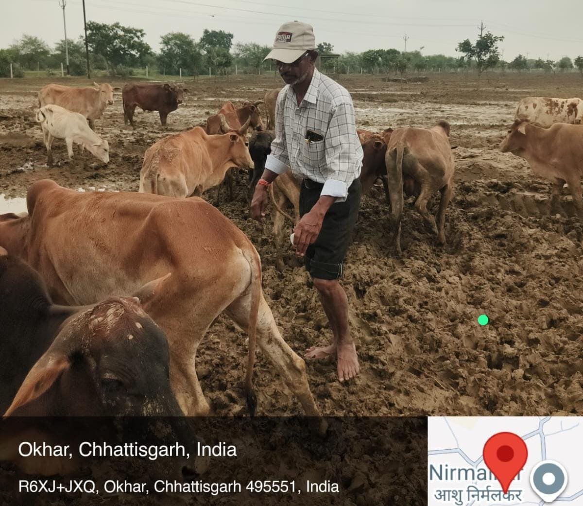 ओखर गौधाम में पशुओं की मौत का मामला,जांच रिपोर्ट कलेक्टर को सौंपी गई, 3 दिनों में 6 पशुओं की मृत्यु की पुष्टि 1 IMG 20260828 WA0011 ओखर गौधाम में पशुओं की मौत का मामला,जांच रिपोर्ट कलेक्टर को सौंपी गई, 3 दिनों में 6 पशुओं की मृत्यु की पुष्टि