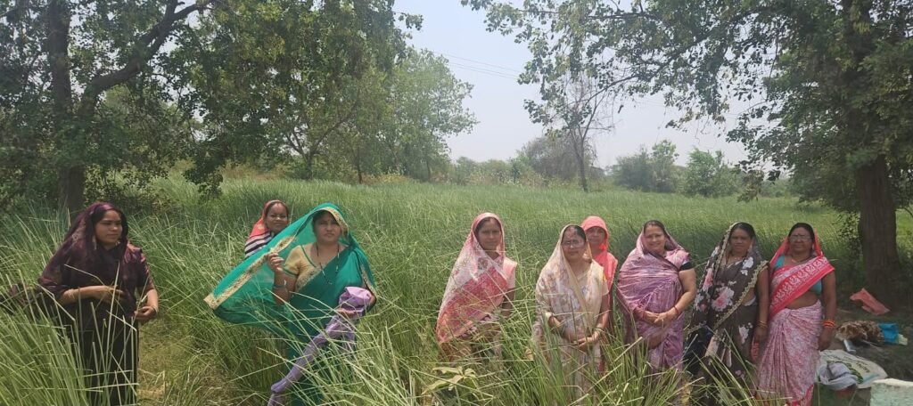 1009460595 सेवा संकल्प अभियान :परखंदा की महिला समूह ने सामूहिक प्रयास से रचा सफलता का नया अध्याय