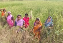 IMG 20260929 WA0103 सेवा संकल्प अभियान :परखंदा की महिला समूह ने सामूहिक प्रयास से रचा सफलता का नया अध्याय