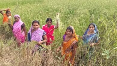 IMG 20260929 WA0103 सेवा संकल्प अभियान :परखंदा की महिला समूह ने सामूहिक प्रयास से रचा सफलता का नया अध्याय