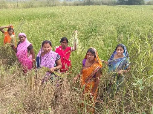 IMG 20260929 WA0103 सेवा संकल्प अभियान :परखंदा की महिला समूह ने सामूहिक प्रयास से रचा सफलता का नया अध्याय