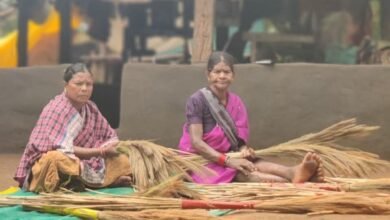 b45a3363 68c5 421e b108 6e48c2c2f8d0 मै बस्तर का विकास बोल रहा हूं- कपिल दीक्षित की कलम से