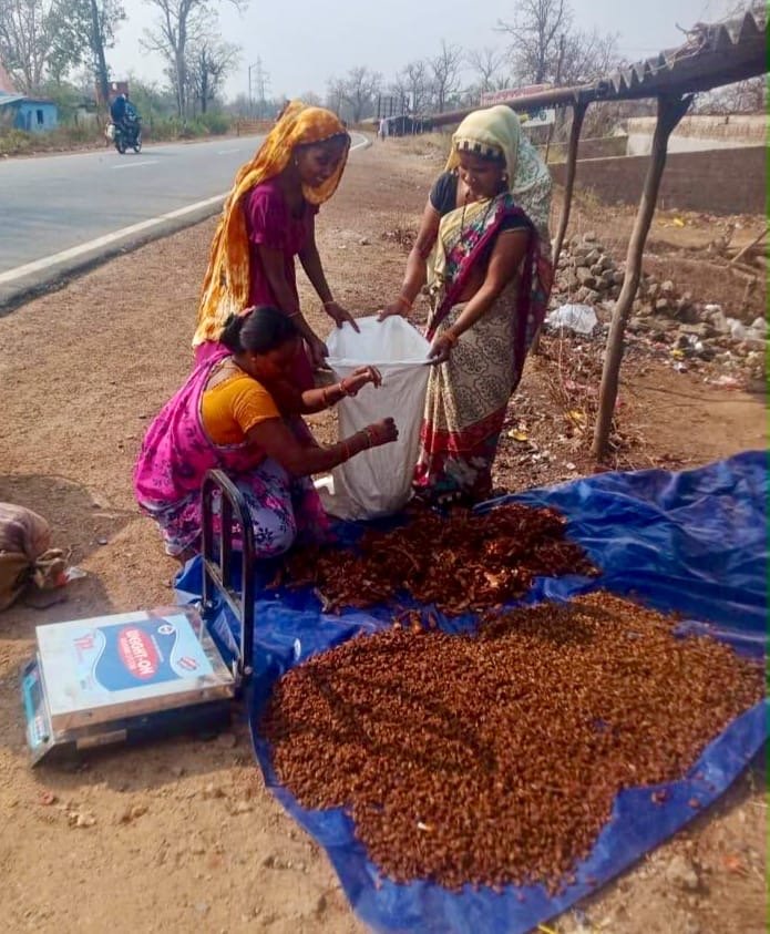 वन मंत्री केदार कश्यप के मार्गदर्शन में CGCERT की महत्वपूर्ण उपलब्धि, बस्तर के जैविक वनोपजों को मिलेगी वैश्विक पहचान 3 0faa2e0b 6fa4 47e0 94a2 e66c000ab5b4 वन मंत्री केदार कश्यप के मार्गदर्शन में CGCERT की महत्वपूर्ण उपलब्धि, बस्तर के जैविक वनोपजों को मिलेगी वैश्विक पहचान