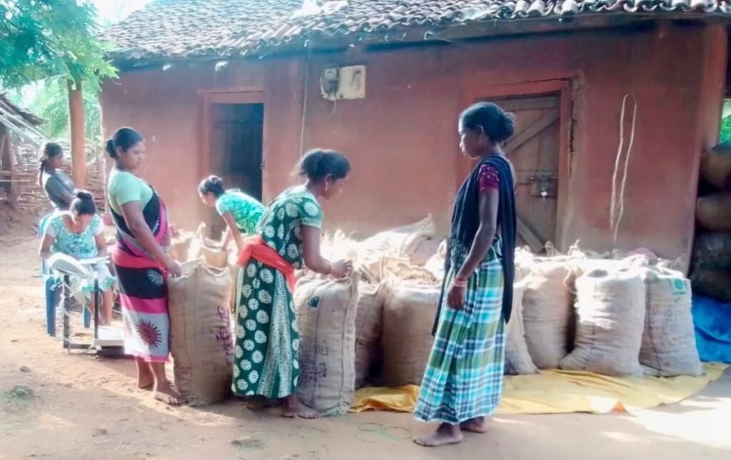 वन मंत्री केदार कश्यप के मार्गदर्शन में CGCERT की महत्वपूर्ण उपलब्धि, बस्तर के जैविक वनोपजों को मिलेगी वैश्विक पहचान 4 b8c28d82 c2e1 4740 816a 063d3b971011 वन मंत्री केदार कश्यप के मार्गदर्शन में CGCERT की महत्वपूर्ण उपलब्धि, बस्तर के जैविक वनोपजों को मिलेगी वैश्विक पहचान